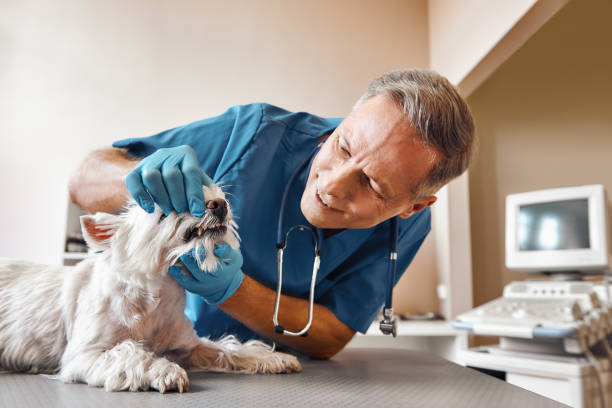 Best Dental Abscess Treatment in Ramona, CA
